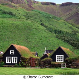 green roof homes