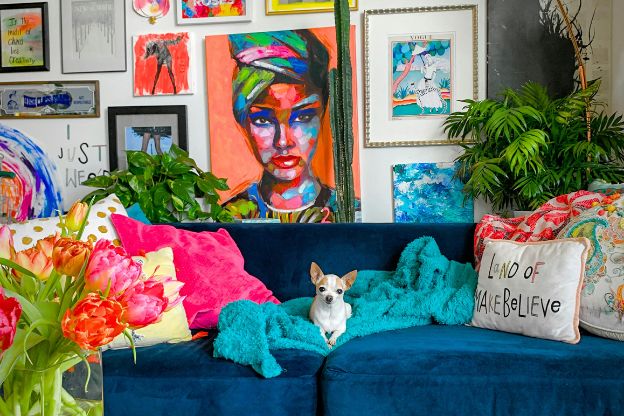 Wall full of artwork with a blue couch and ottoman, colorful accents, chihuahua, and plants.