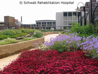 Schwab hospital roof