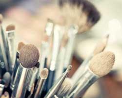 Makeup Application Basics